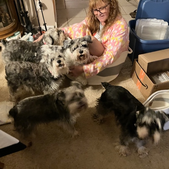 Meet your Posher, MaryJo - Picture 10 of 16